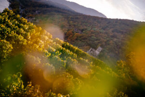 spitzgoldenerherbst-web-9220
