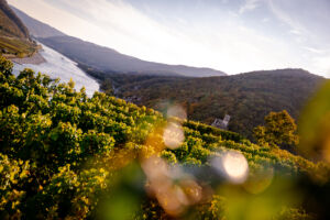 spitzgoldenerherbst-web-9222