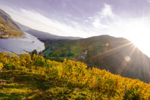 spitzgoldenerherbst-web-9245