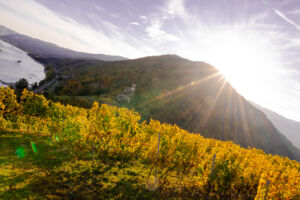 spitzgoldenerherbst-web-9247