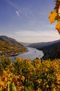 spitzgoldenerherbst-web-9259