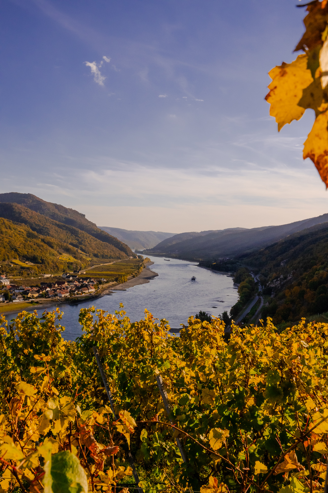 wachau-du-traeumerin