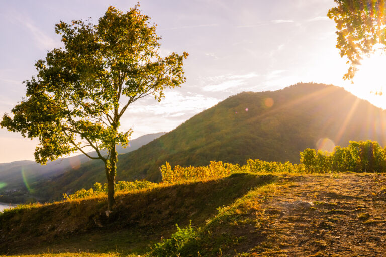 spitzgoldenerherbst-web-9267