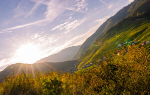 spitzgoldenerherbst-web-9281