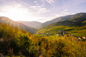 spitzgoldenerherbst-web-9284