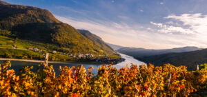 spitzgoldenerherbst-web-9291