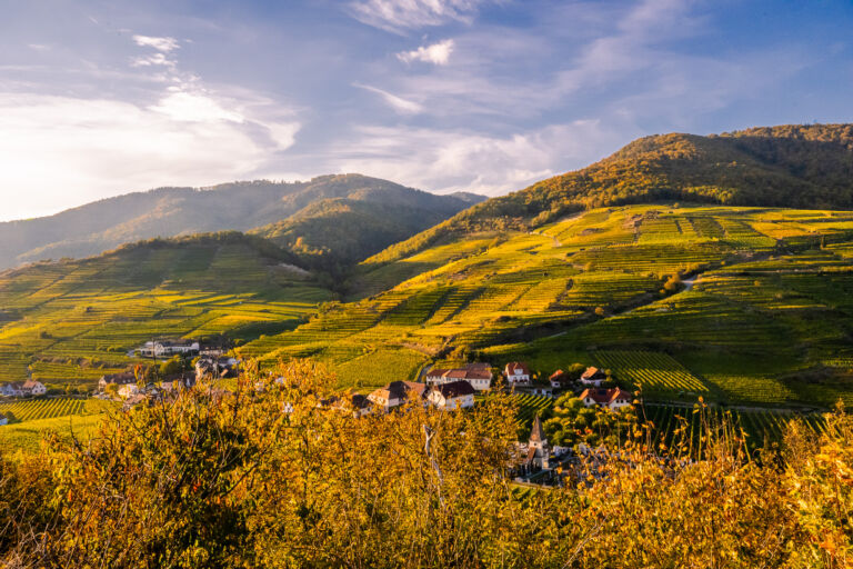 spitzgoldenerherbst-web-9296