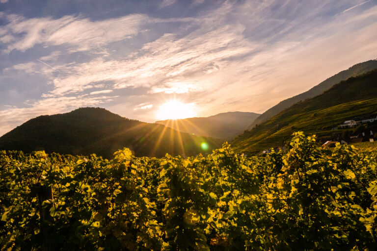 spitzgoldenerherbst-web-9301