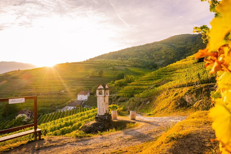 spitzgoldenerherbst-web-9346