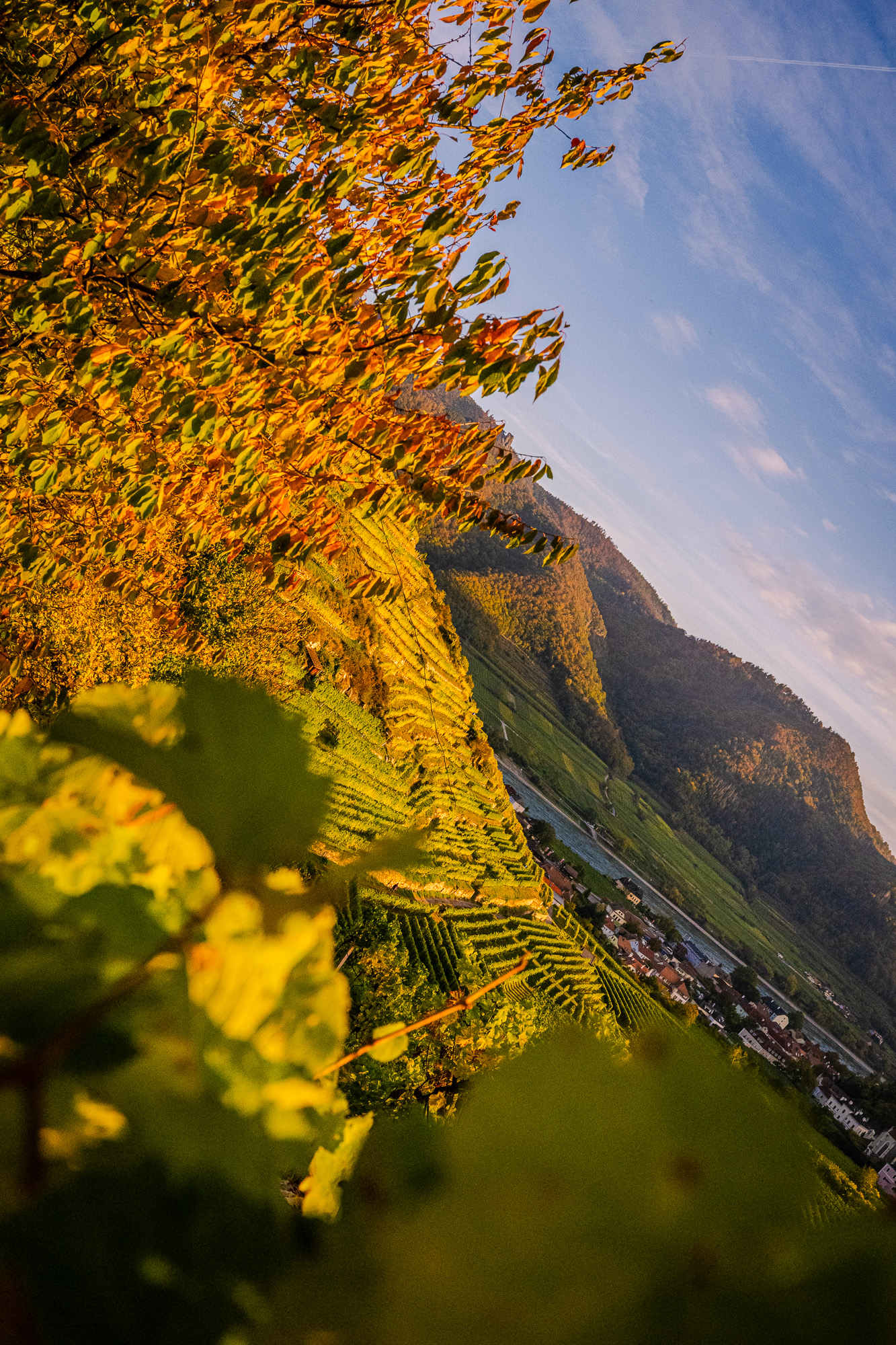 der-herbstliche-singerriedl