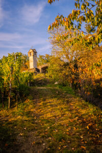 spitzgoldenerherbst-web-9384