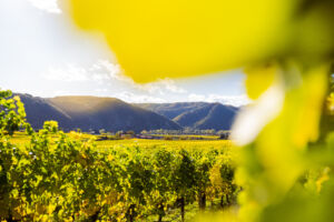 webloibengoldenerherbst-9714