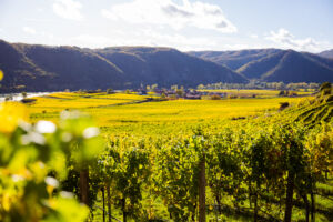 webloibengoldenerherbst-9717