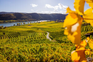 webloibengoldenerherbst-9723