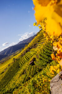 webloibengoldenerherbst-9728