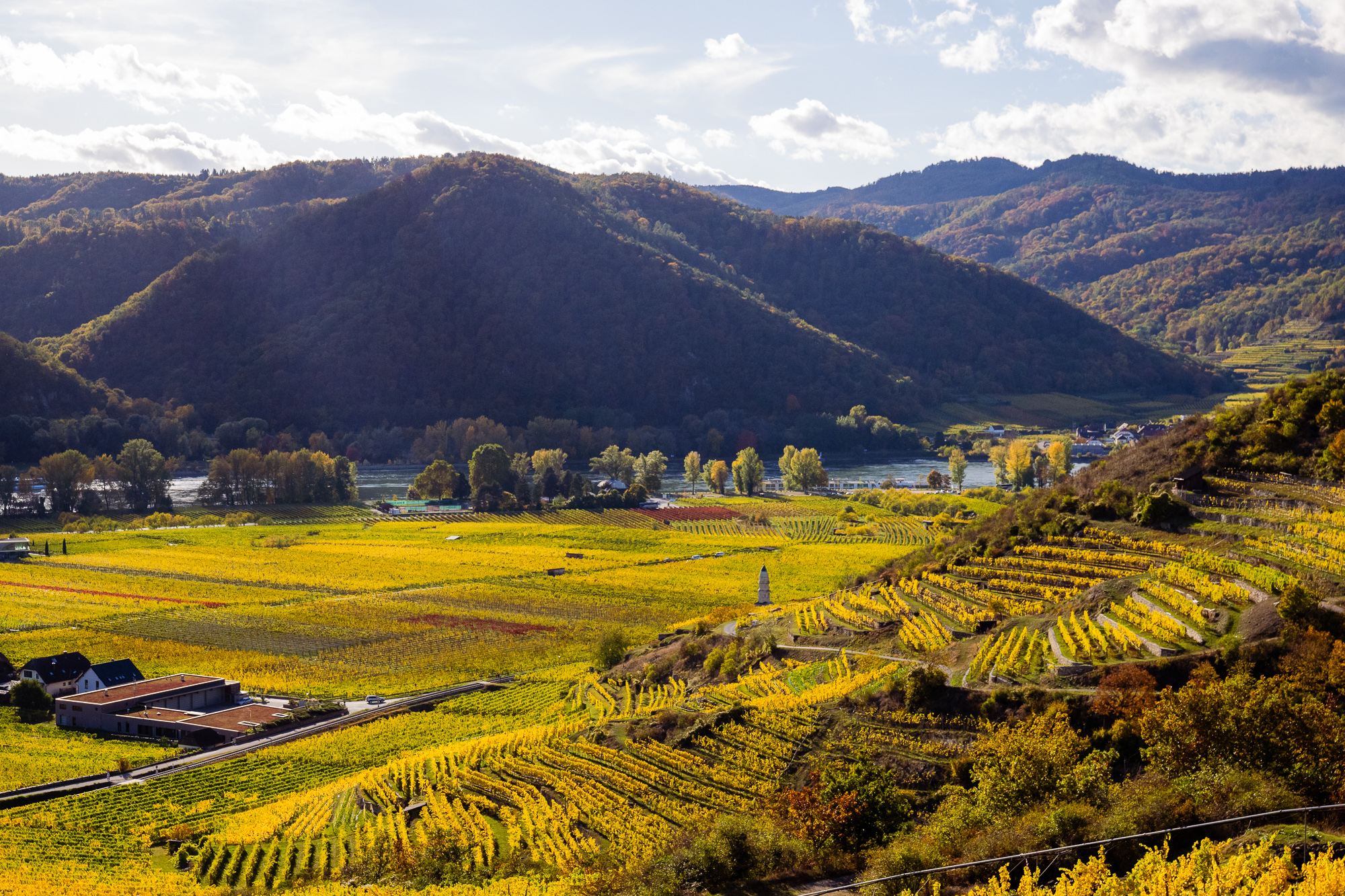 goldener-herbst-in-loiben