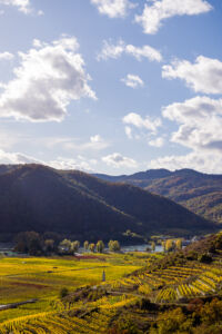 webloibengoldenerherbst-9732