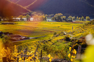 webloibengoldenerherbst-9736