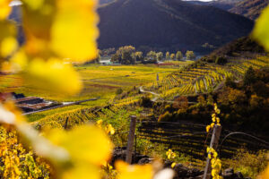 webloibengoldenerherbst-9737