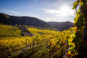 webloibengoldenerherbst-9748