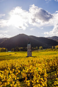 webloibengoldenerherbst-9752