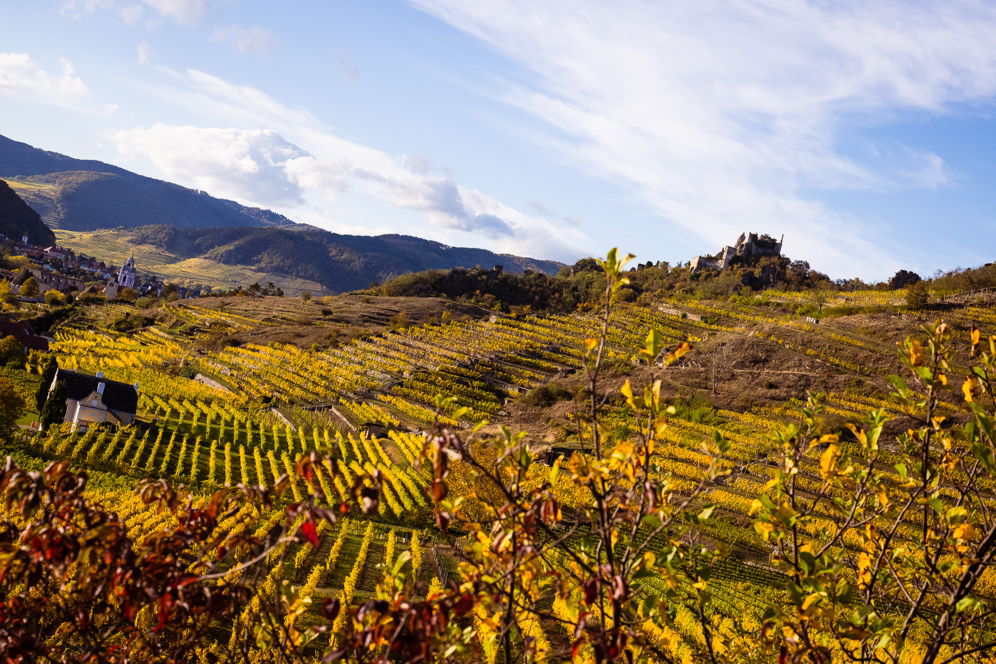 goldener-herbst-in-duernstein