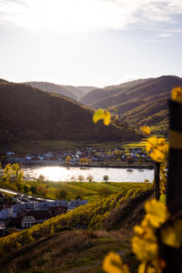 webloibengoldenerherbst-9804