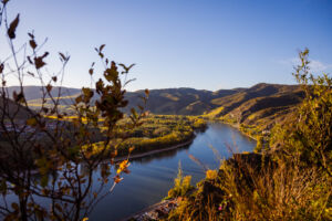 webloibengoldenerherbst-9828