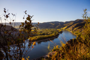 webloibengoldenerherbst-9829