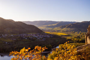 webloibengoldenerherbst-9835