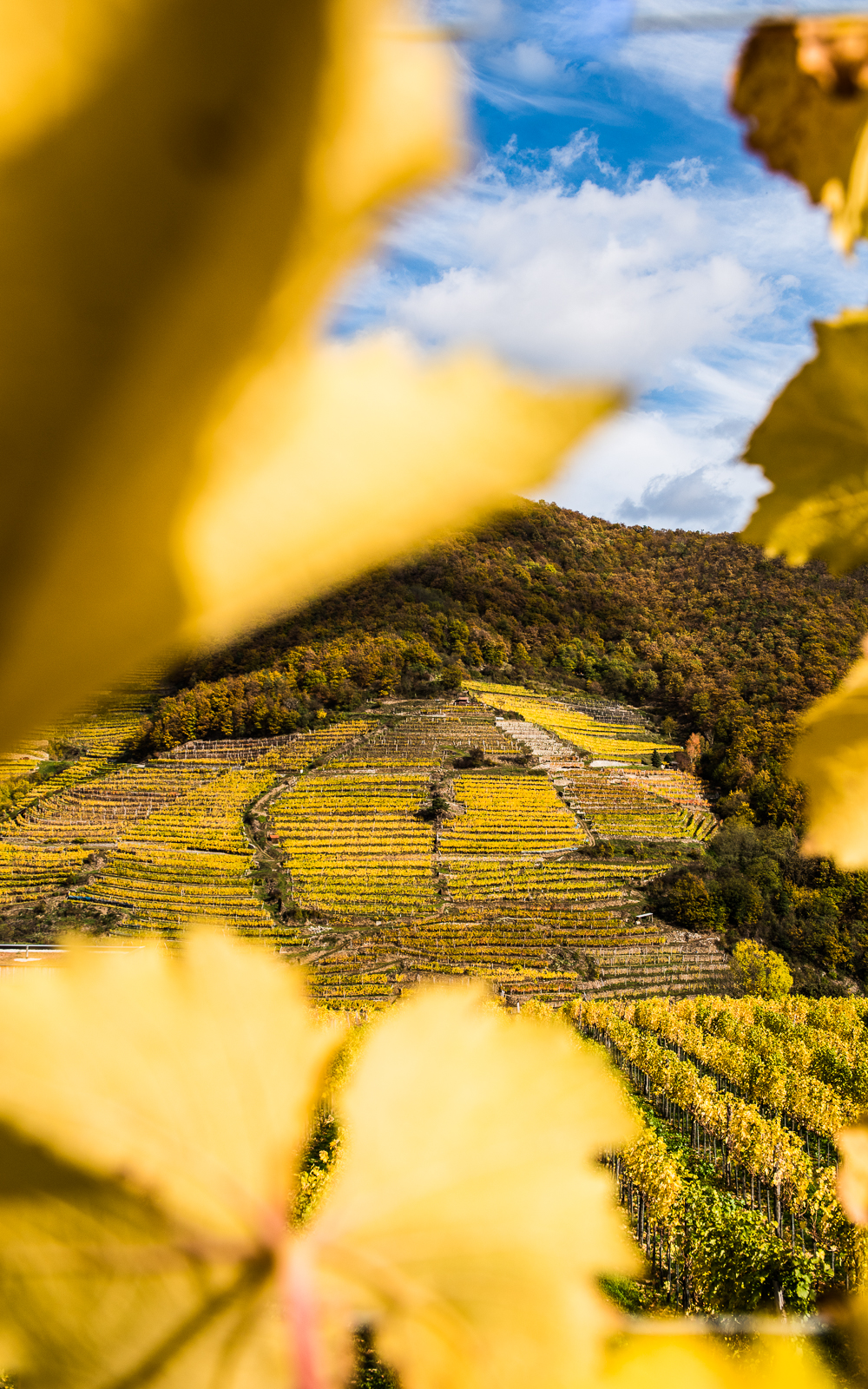 schoener-blick-auf-die-schoen